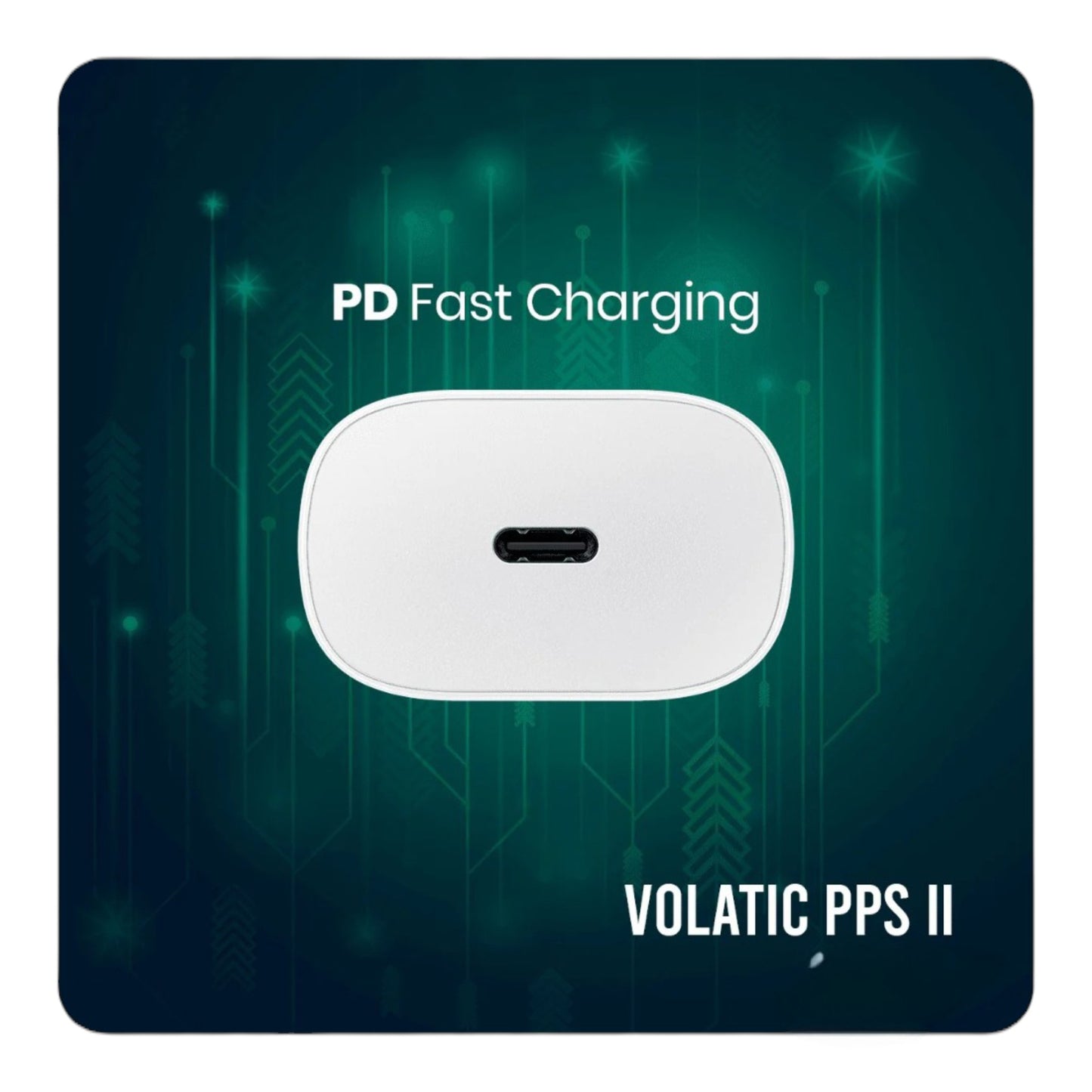 Swiss Military VOLTX 66W Fast Charger